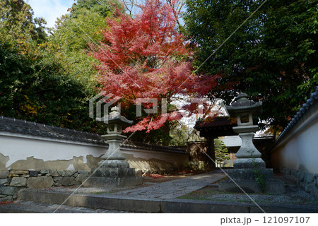 比叡山里坊 慈眼堂 参道の紅葉 滋賀県大津市坂本 比叡山里坊 慈眼堂 参道の紅葉 滋賀県大津市坂本 121097107