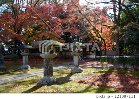 比叡山里坊　慈眼堂　境内の紅葉　滋賀県大津市坂本 121097111