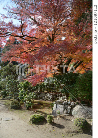 比叡山里坊　慈眼堂　境内の紅葉　滋賀県大津市坂本 121097112