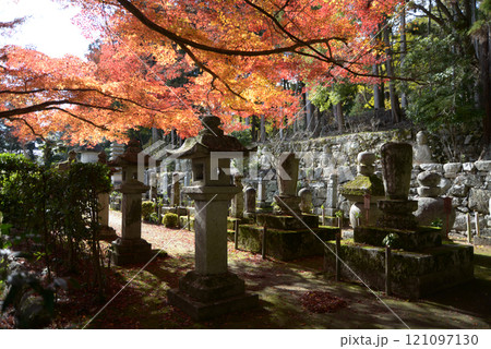 比叡山里坊 慈眼堂 境内の紅葉 滋賀県大津市坂本 比叡山里坊 慈眼堂 境内の紅葉 滋賀県大津市坂本 121097130