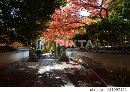 比叡山里坊　慈眼堂　参道の紅葉　滋賀県大津市坂本 121097132