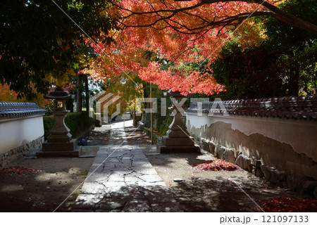 比叡山里坊 慈眼堂 参道の紅葉 滋賀県大津市坂本 比叡山里坊 慈眼堂 参道の紅葉 滋賀県大津市坂本 121097133