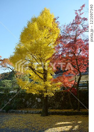 南禅寺 境内の紅葉 京都市左京区 南禅寺 境内の紅葉 京都市左京区 121097340