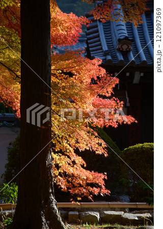 南禅寺 境内の紅葉 京都市左京区 南禅寺 境内の紅葉 京都市左京区 121097369
