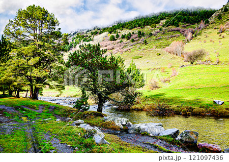 Montgarri Valley next to the Montgarri Sanctuary, located in the municipality of Alto Aran in the Lerida Pyrenees, Catalonia, Spain 121097436