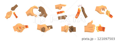 Human Hand and Cat or Dog Claw Paw Vector Set 121097503