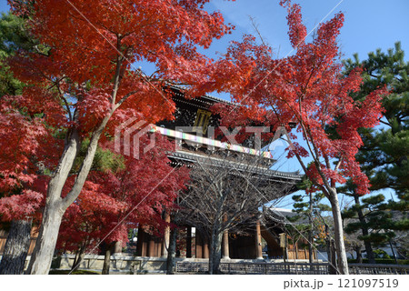 金戒光明寺　紅葉の山門　京都市左京区黒谷 121097519