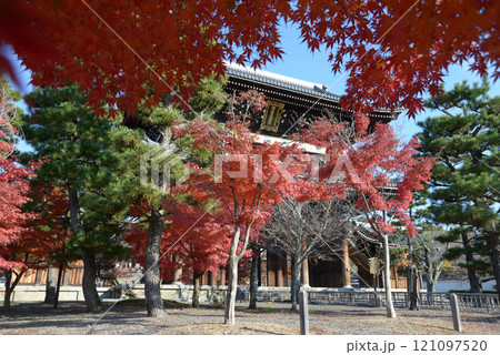 金戒光明寺　紅葉の山門　京都市左京区黒谷 121097520