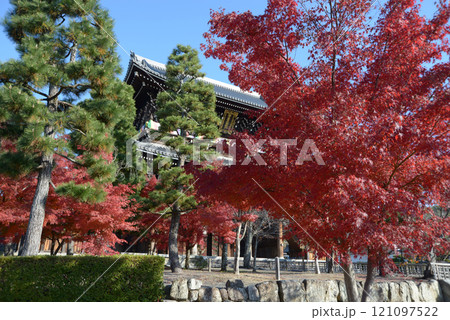金戒光明寺　紅葉の山門　京都市左京区黒谷 121097522
