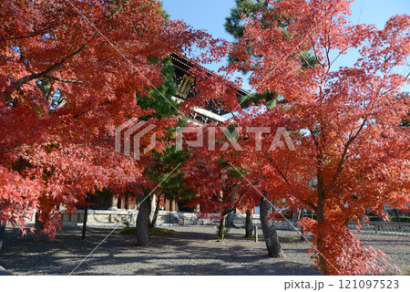 金戒光明寺　紅葉の山門　京都市左京区黒谷 121097523