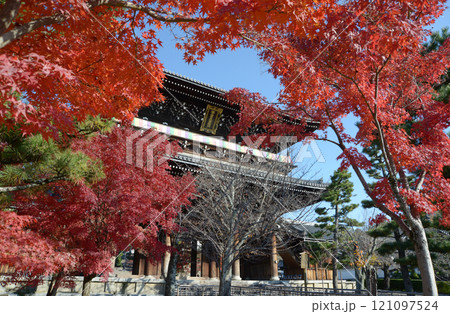 金戒光明寺　紅葉の山門　京都市左京区黒谷 121097524