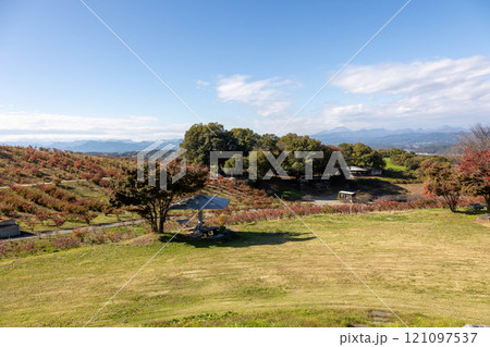 鼻高展望花の丘 希望の丘農園 高崎市 鼻高展望花の丘 希望の丘農園 高崎市 121097537