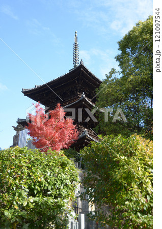 金戒光明寺 三重塔 京都市左京区黒谷 金戒光明寺 三重塔 京都市左京区黒谷 121097544