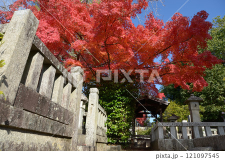 金戒光明寺　墓地の紅葉　京都市左京区黒谷 121097545