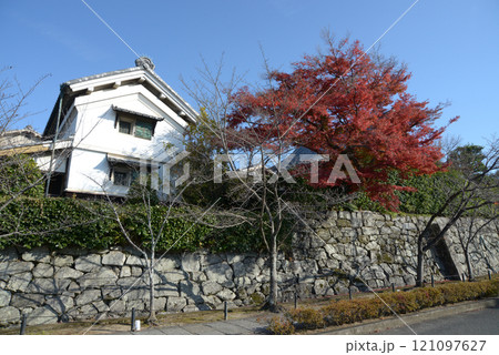 金戒光明寺 境内の紅葉 京都市左京区黒谷 金戒光明寺 境内の紅葉 京都市左京区黒谷 121097627