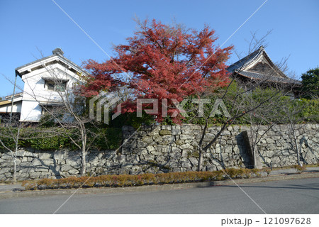 金戒光明寺 境内の紅葉 京都市左京区黒谷 金戒光明寺 境内の紅葉 京都市左京区黒谷 121097628