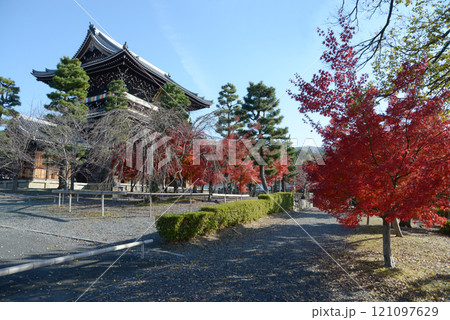 金戒光明寺　山門と紅葉　京都市左京区黒谷 121097629