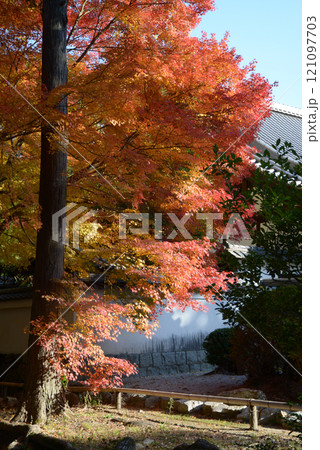 南禅寺 境内の紅葉 京都市左京区 南禅寺 境内の紅葉 京都市左京区 121097703