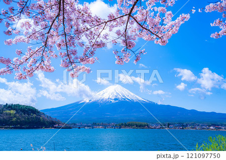 【桜と富士山】桜が満開の河口湖北岸から見た富士山【山梨県】 121097750