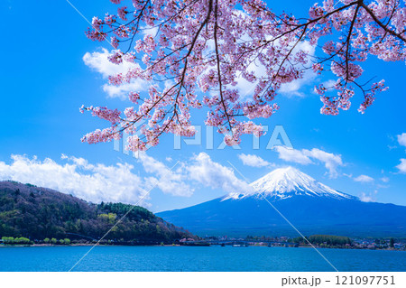 【桜と富士山】桜が満開の河口湖北岸から見た富士山【山梨県】 121097751