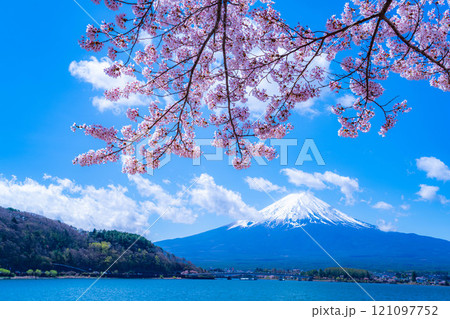 【桜と富士山】桜が満開の河口湖北岸から見た富士山【山梨県】 121097752
