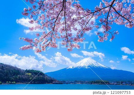 【桜と富士山】桜が満開の河口湖北岸から見た富士山【山梨県】 【桜と富士山】桜が満開の河口湖北岸から見た富士山【山梨県】 121097753