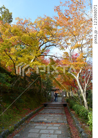嵯峨野　化野念仏寺参道の紅葉　京都市右京区嵯峨 121098071