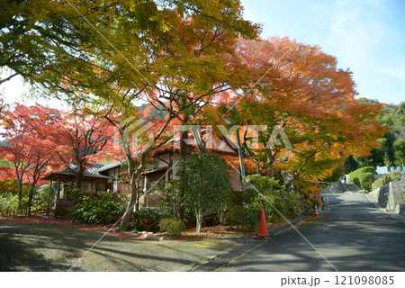 嵯峨野　奥嵯峨の紅葉　京都市右京区嵯峨 121098085