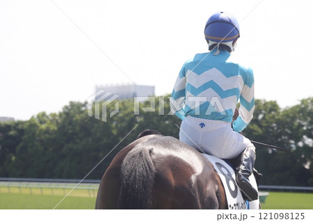 競馬の風景　本馬場入場の風景 121098125