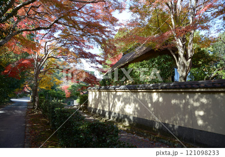 嵯峨野 後亀山天皇陵参道の紅葉 京都市右京区嵯峨 嵯峨野 後亀山天皇陵参道の紅葉 京都市右京区嵯峨 121098233