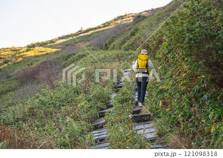 Zao mountain Yamagata Japan, Hiker on a trail surrounded by lush greenery. Zao mountain Yamagata Japan, Hiker on a trail surrounded by lush greenery. 121098318