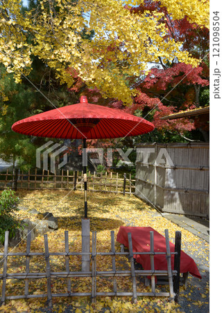 清涼寺 イチョウの黄葉と野点傘 京都市右京区嵯峨 清涼寺 イチョウの黄葉と野点傘 京都市右京区嵯峨 121098504