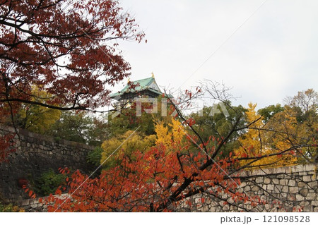 紅葉が彩る大阪城公園 121098528