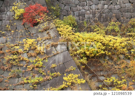 紅葉が彩る大阪城公園 紅葉が彩る大阪城公園 121098539