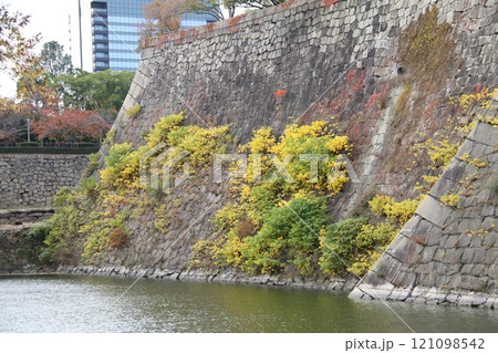紅葉が彩る大阪城公園 121098542