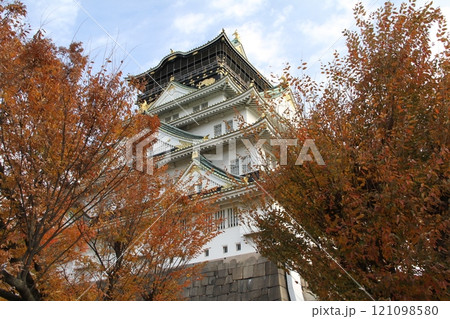 紅葉が彩る大阪城公園 紅葉が彩る大阪城公園 121098580