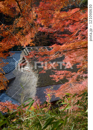嵯峨野　茅葺屋根と紅葉　京都市右京区嵯峨 121098630
