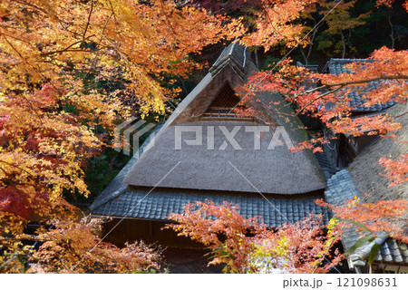 嵯峨野　茅葺屋根と紅葉　京都市右京区嵯峨 121098631