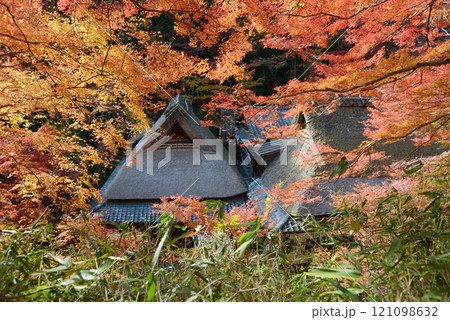 嵯峨野　茅葺屋根と紅葉　京都市右京区嵯峨 121098632