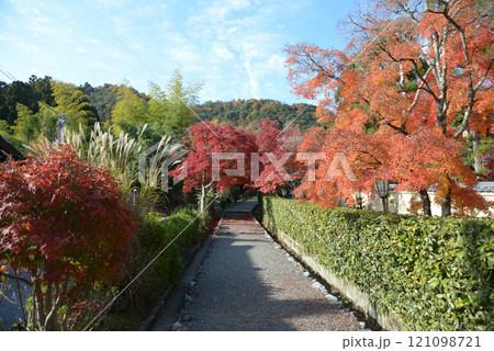 嵯峨野 後亀山天皇陵参道の紅葉 京都市右京区嵯峨 嵯峨野 後亀山天皇陵参道の紅葉 京都市右京区嵯峨 121098721