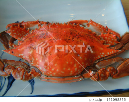 Boiled crabs on the plate / 茹でたワタリガニ(一品料理・一皿おつまみ) Boiled crabs on the plate / 茹でたワタリガニ(一品料理・一皿おつまみ) 121098856