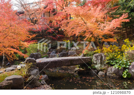 紅葉の日本庭園 錦景苑 長岡天満宮 紅葉の日本庭園 錦景苑 長岡天満宮 121098870