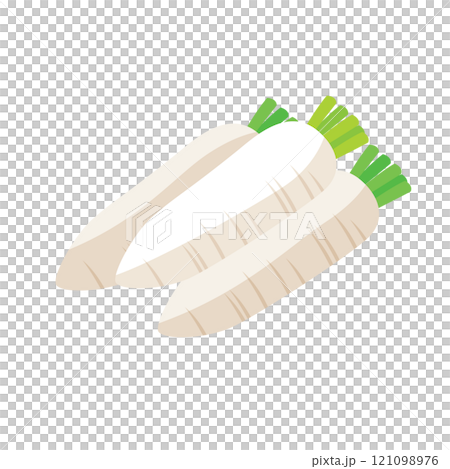 Isometric_three-dimensional and simple illustration of radish 121098976