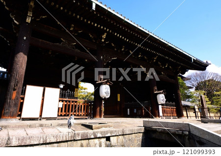 京都府　東寺・南大門（重要文化財） 京都市 南区 九条町　2022年2月 121099393