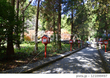 冠嶽神社の紅葉 冠嶽神社の紅葉 121099497