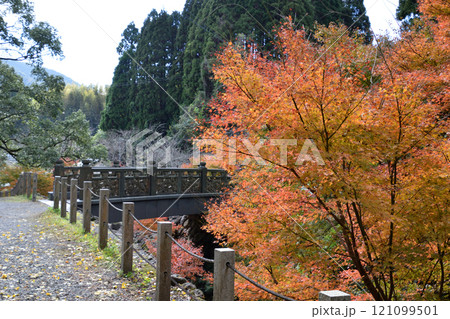 冠嶽神社の紅葉 冠嶽神社の紅葉 121099501