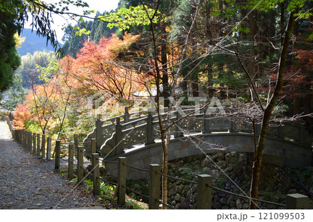冠嶽神社の紅葉 冠嶽神社の紅葉 121099503