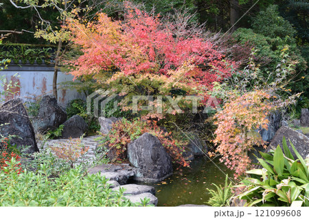 冠嶽園の紅葉 121099608