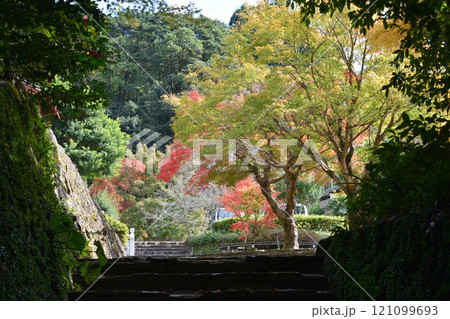 冠嶽園の紅葉 冠嶽園の紅葉 121099693