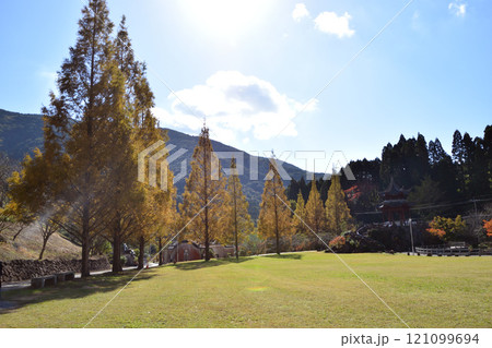 冠岳花川砂防公園の紅葉 冠岳花川砂防公園の紅葉 121099694